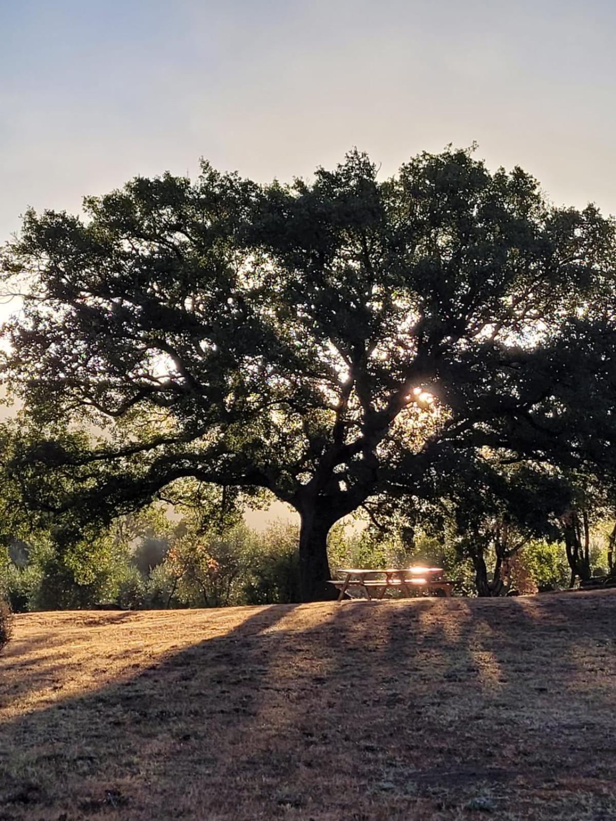 Agriturismo Podere Prataccio Гроссето Экстерьер фото